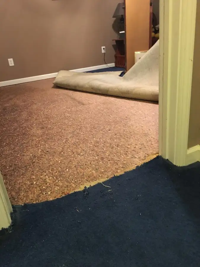 Carpet pad removal revealing water damage during Water Mitigation Services in Monahans